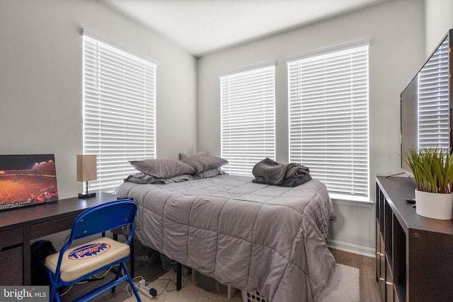 bedroom with hardwood / wood-style floors and multiple windows