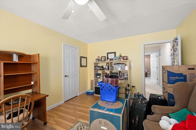 office space with ceiling fan and light hardwood / wood-style flooring