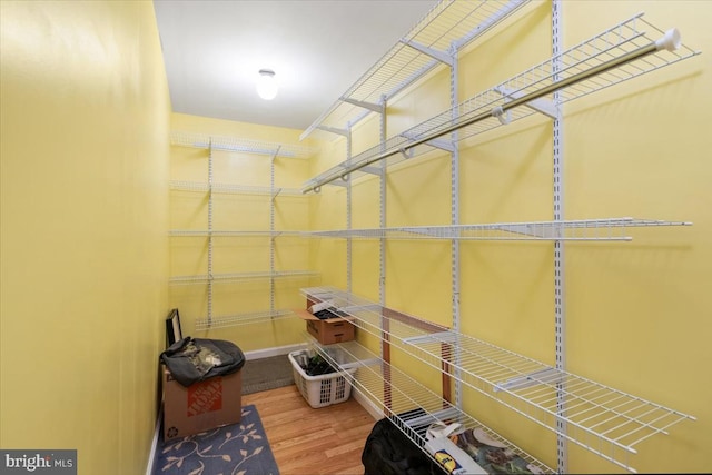 walk in closet featuring wood-type flooring