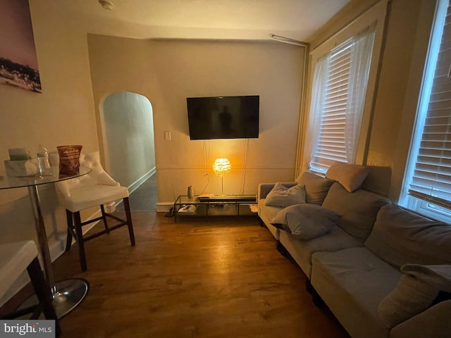 living room with plenty of natural light and wood-type flooring