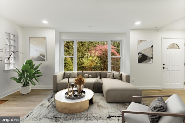 living room with light wood-type flooring