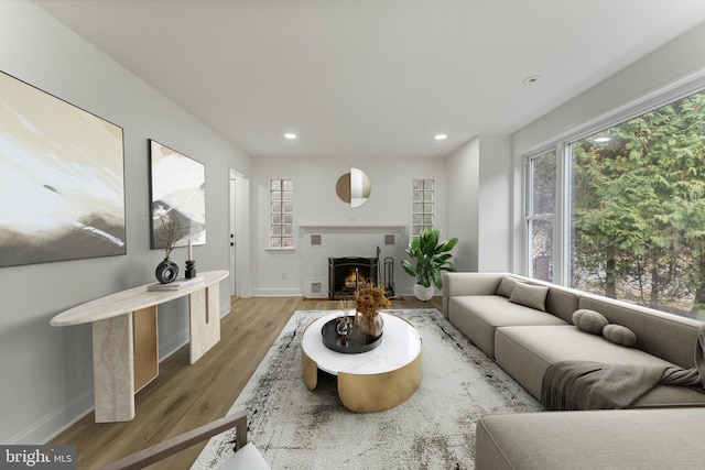 living room with light hardwood / wood-style flooring