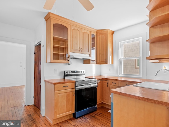 kitchen featuring electric stove, ceiling fan, sink, and light hardwood / wood-style floors