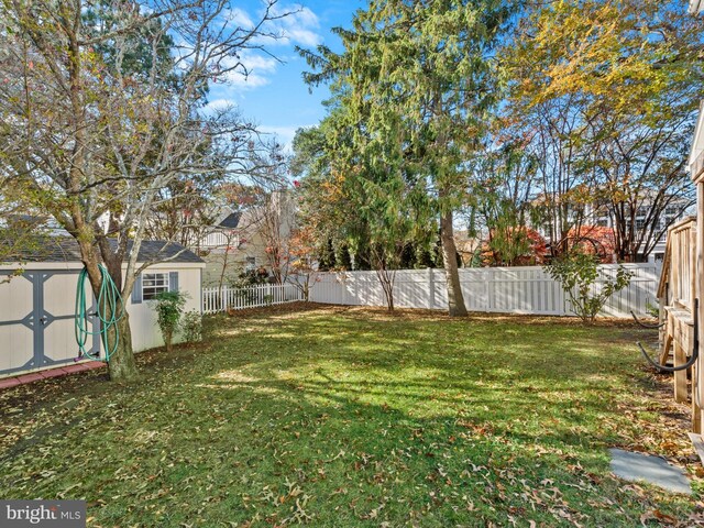 view of yard with a shed