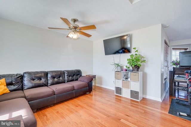 living room featuring ceiling fan and light hardwood / wood-style floors