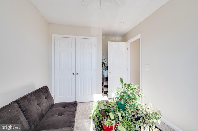 living room featuring ceiling fan and carpet floors