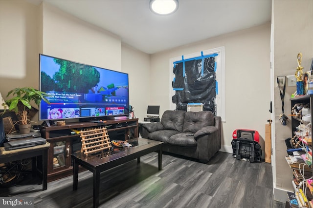 living room featuring hardwood / wood-style floors