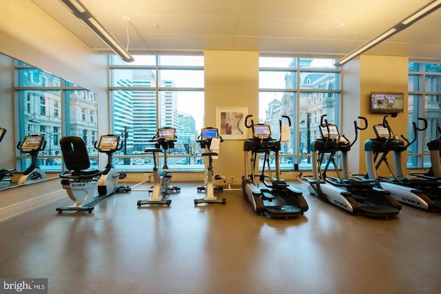 workout area featuring plenty of natural light and a wall of windows