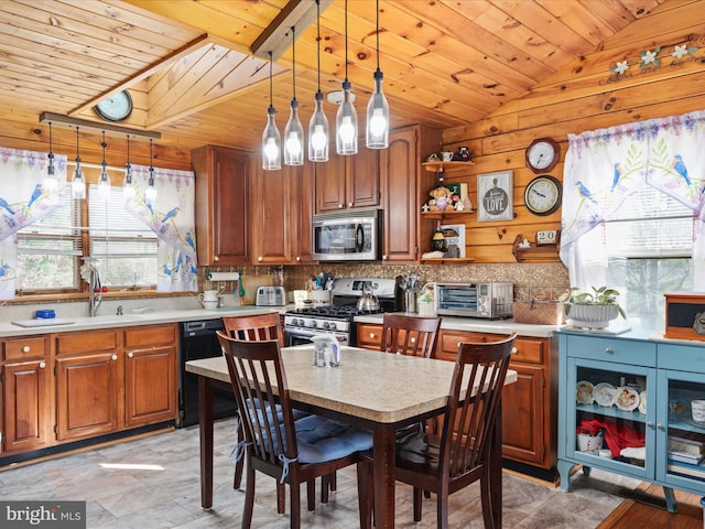 kitchen with appliances with stainless steel finishes, plenty of natural light, hanging light fixtures, and wooden walls