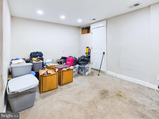 basement with carpet