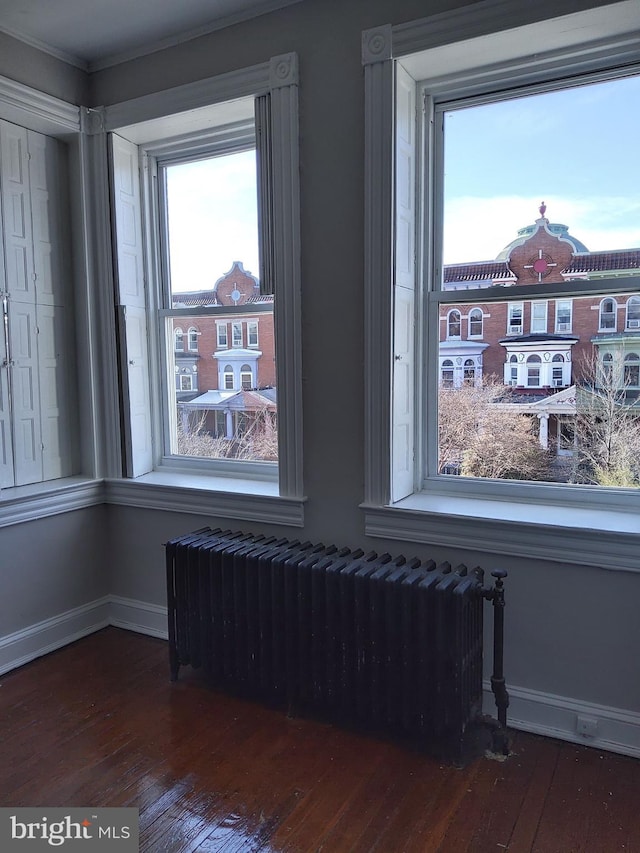 interior space featuring radiator and dark hardwood / wood-style floors