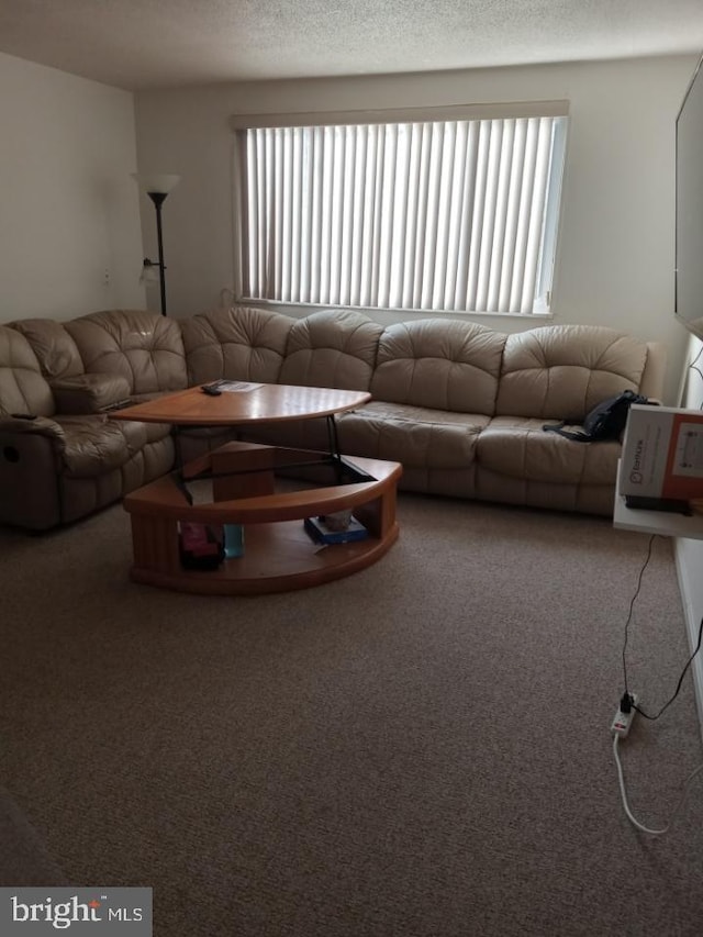 carpeted living room with a healthy amount of sunlight