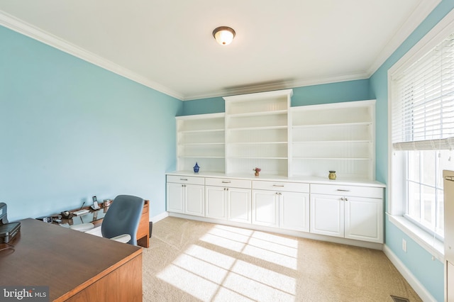 carpeted office space featuring crown molding