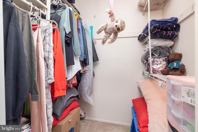 walk in closet featuring carpet