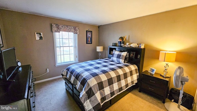 bedroom featuring carpet