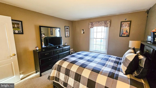 bedroom with light colored carpet