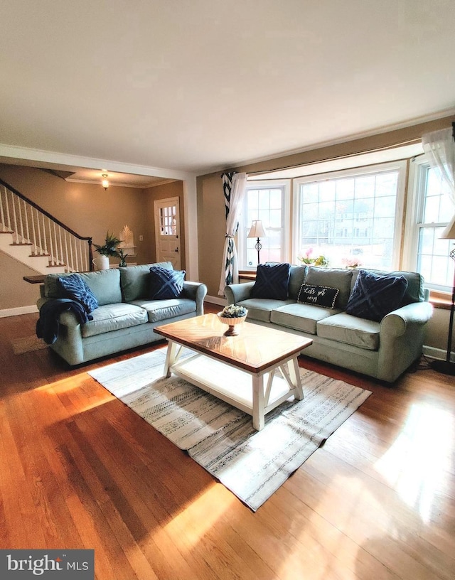 living room featuring hardwood / wood-style flooring