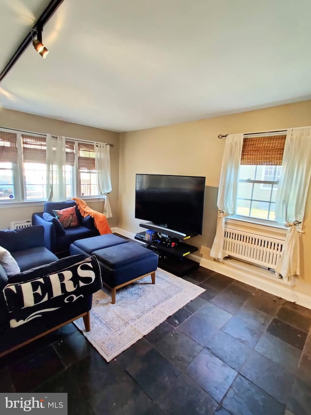 living room with rail lighting