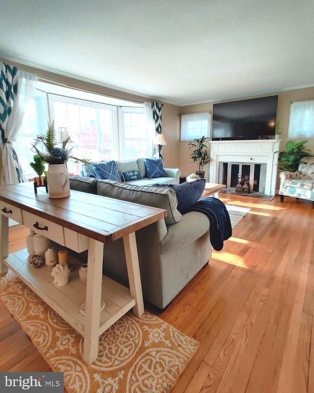 living room with light hardwood / wood-style floors