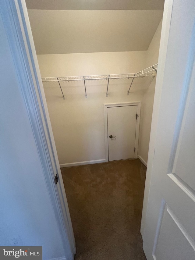 walk in closet with dark colored carpet