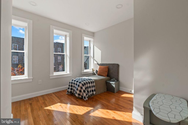 living area with light hardwood / wood-style flooring and a healthy amount of sunlight