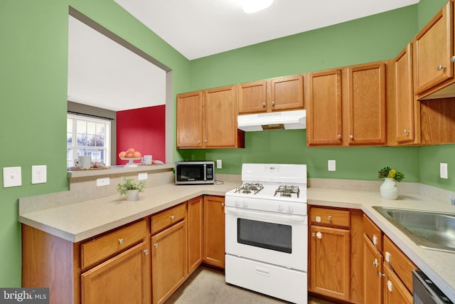 kitchen with kitchen peninsula, appliances with stainless steel finishes, and sink