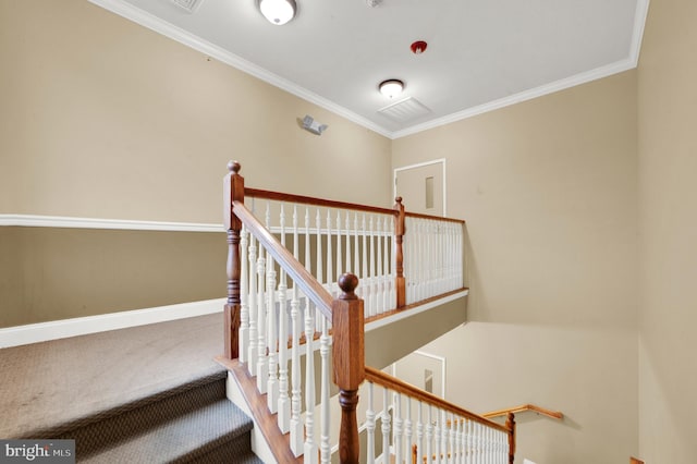 stairs with crown molding and carpet floors