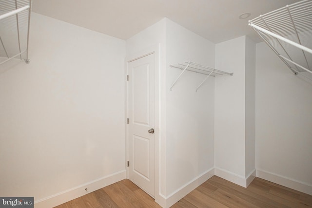 spacious closet featuring wood-type flooring