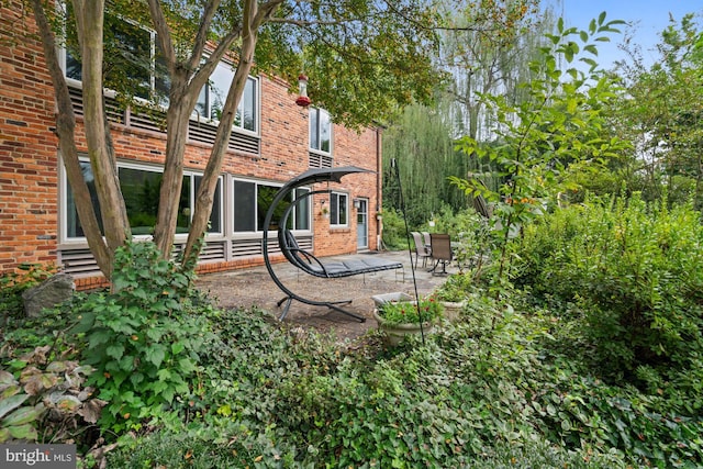 view of yard featuring a patio