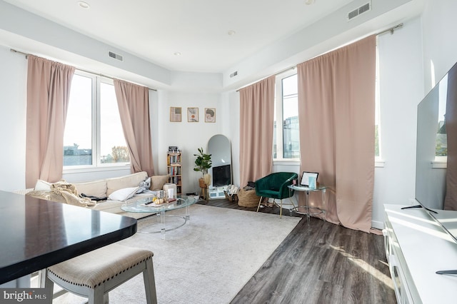 living area with dark wood-type flooring