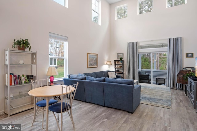 living room with hardwood / wood-style floors, plenty of natural light, and a towering ceiling