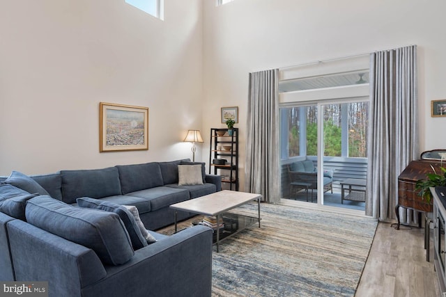 living room with a wealth of natural light, a high ceiling, and light wood-type flooring