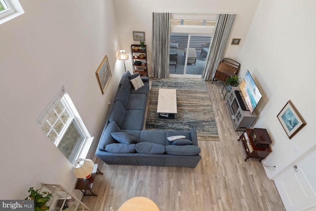 living room featuring a towering ceiling and light hardwood / wood-style flooring