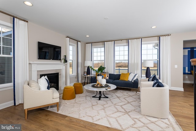 living room with light hardwood / wood-style floors