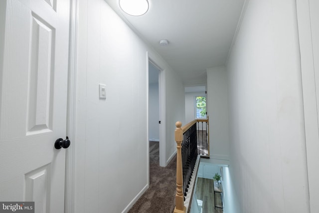 hall featuring ornamental molding and dark colored carpet