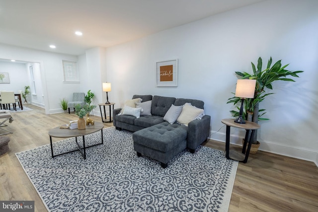 living room with hardwood / wood-style flooring