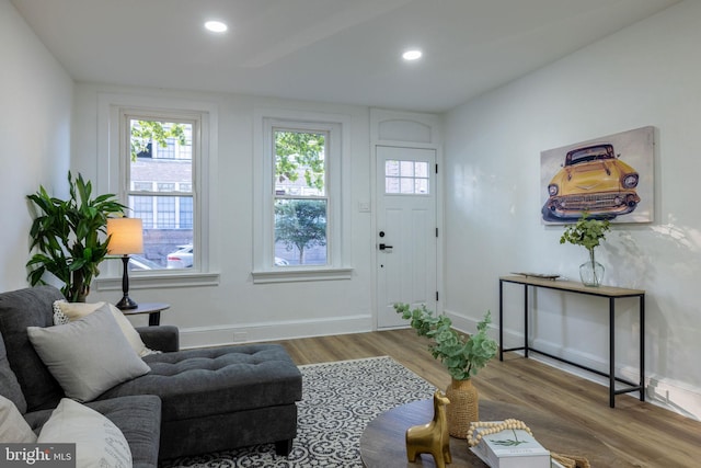 living room with hardwood / wood-style flooring