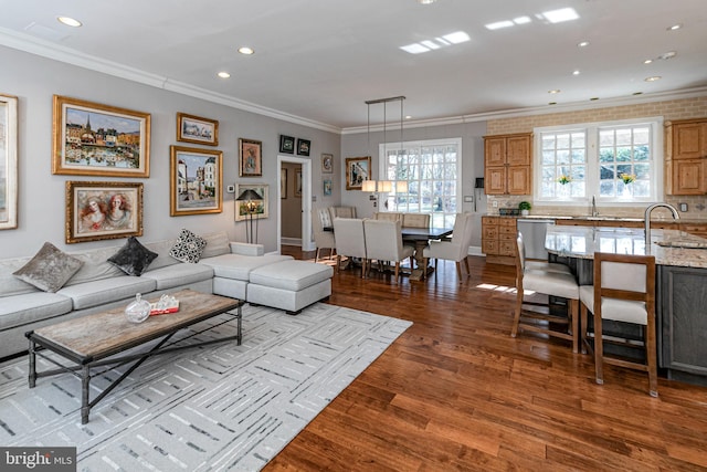 living room with a healthy amount of sunlight, sink, wood-type flooring, and ornamental molding