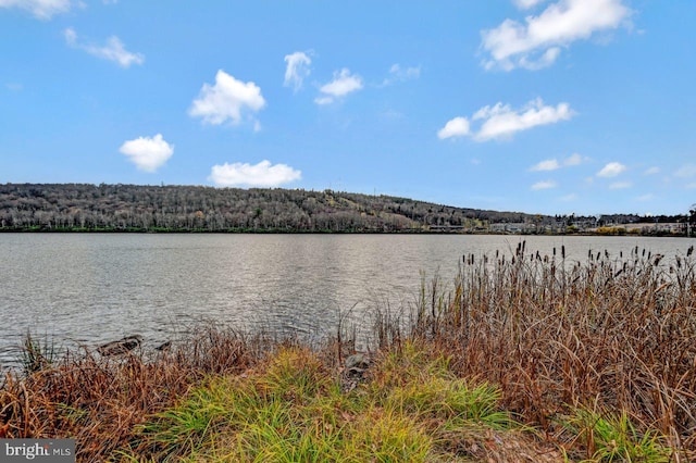 property view of water