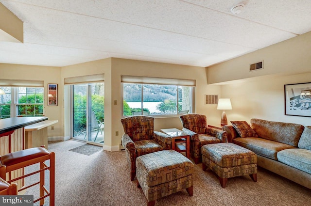 carpeted living room featuring a healthy amount of sunlight and a textured ceiling