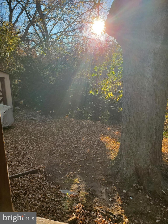 103 Lowden St, Delran, NJ 08075 - view of yard