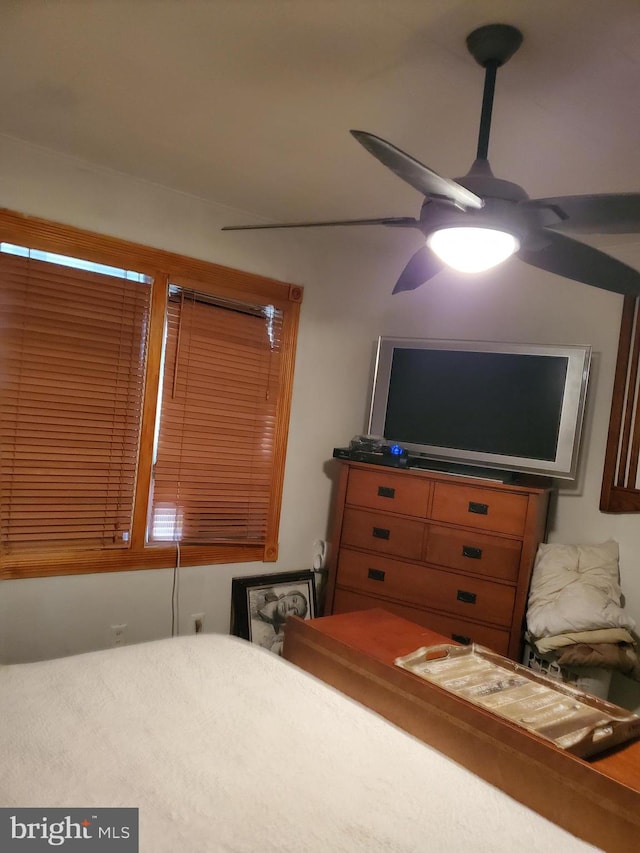 bedroom featuring ceiling fan