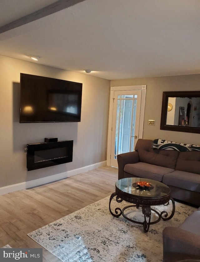 living room featuring light hardwood / wood-style floors