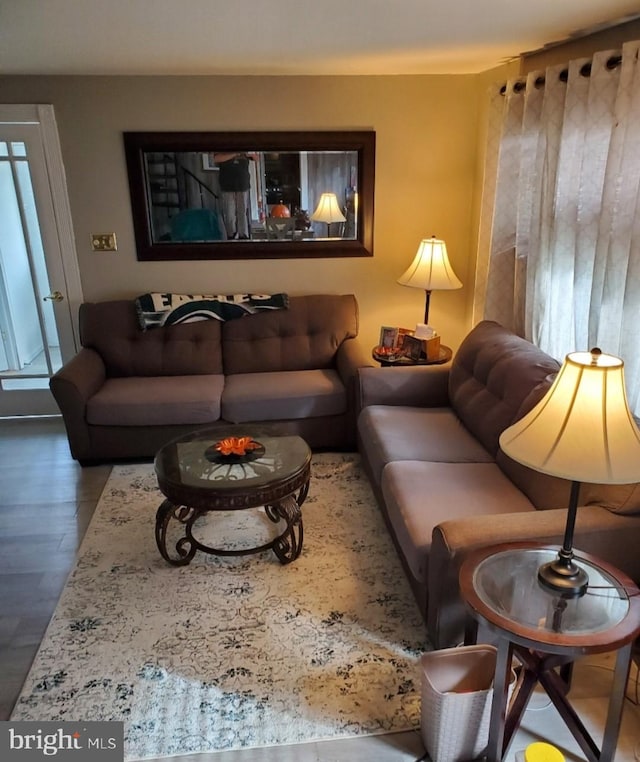 living room featuring dark hardwood / wood-style flooring