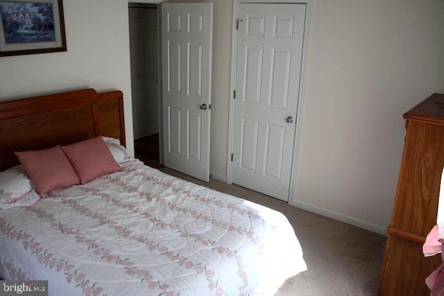 bedroom with carpet and a closet