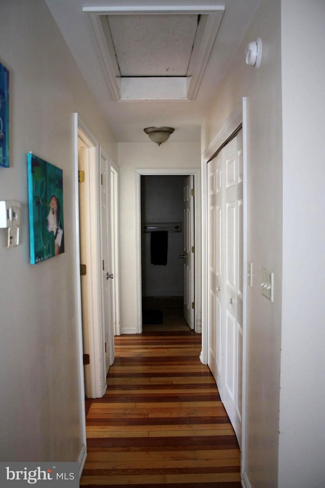 hallway with a tray ceiling and dark hardwood / wood-style floors