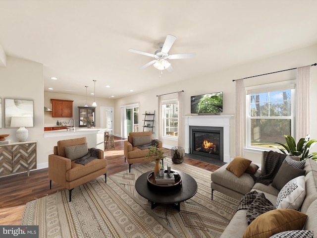 living room with a wealth of natural light, sink, ceiling fan, and wood-type flooring