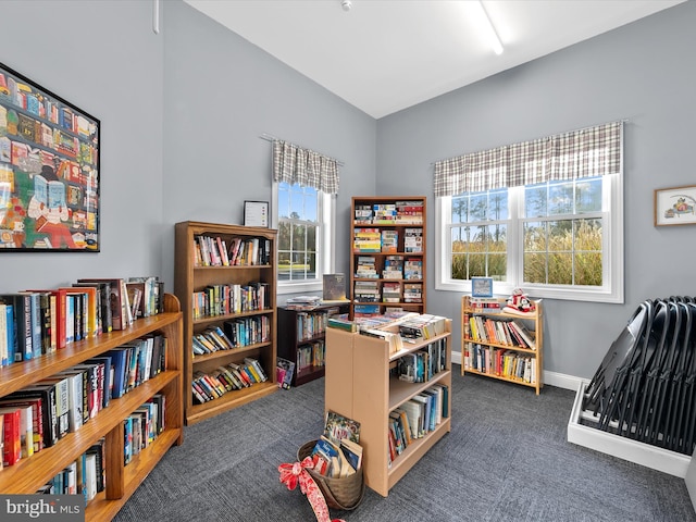 miscellaneous room featuring dark colored carpet