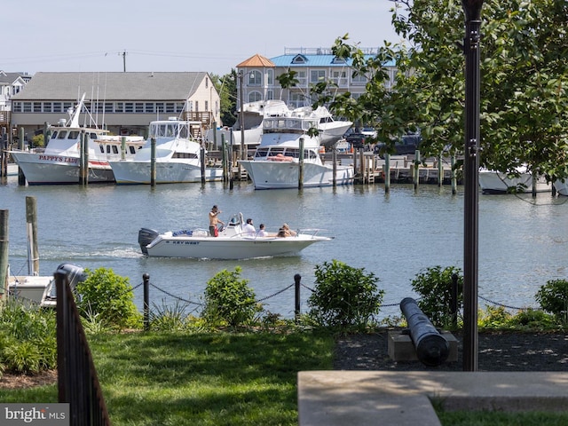 water view featuring a boat dock