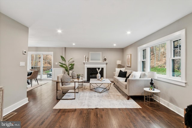 living room with plenty of natural light and dark hardwood / wood-style flooring